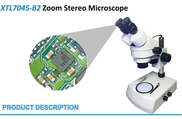 China XTL7045-B2 binocular stereo microscope for sale