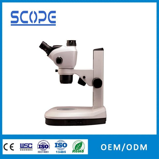 7x-45x Stereo Zoom Microscope